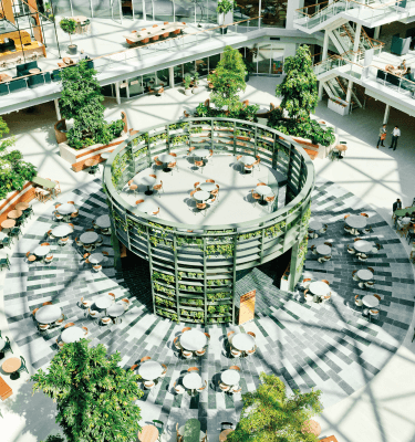 Licht en ruim atrium van EDGE Amsterdam West met groen begroeide centrale structuur, omringd door zitplaatsen en een glazen dakconstructie.