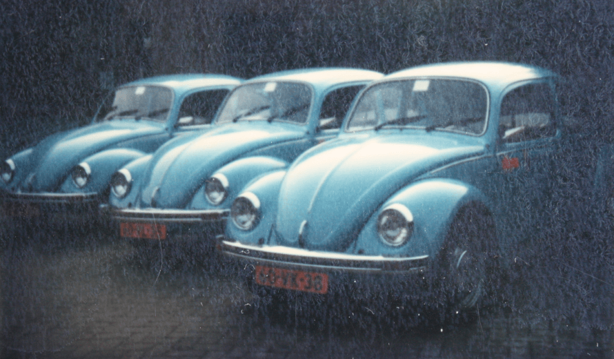 Drie blauwe Volkswagen Kevers, de eerste bedrijfsauto's van Bosman, klaar voor klantbezoeken in de jaren '60.