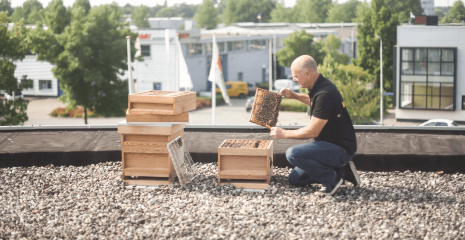 Imker inspecteert bijenkast op het dak van een bedrijfspand met moderne gebouwen op de achtergrond.