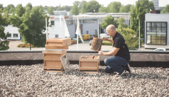 Imker inspecteert bijenkast op het dak van een bedrijfspand met moderne gebouwen op de achtergrond.