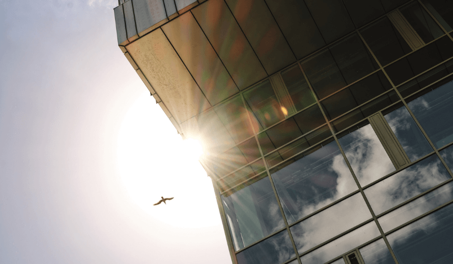 Moderne glazen gevel van een gebouw met zonlicht dat door de hoek schijnt, een vogel vliegt door de lucht tegen een heldere hemel.